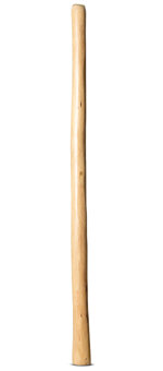 Natural Finish Didgeridoo (TW885)